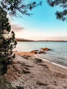 pexels luis coutinho 2902183 4968599