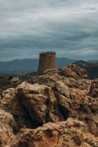 pexels tramini alexis 271958627 12842556